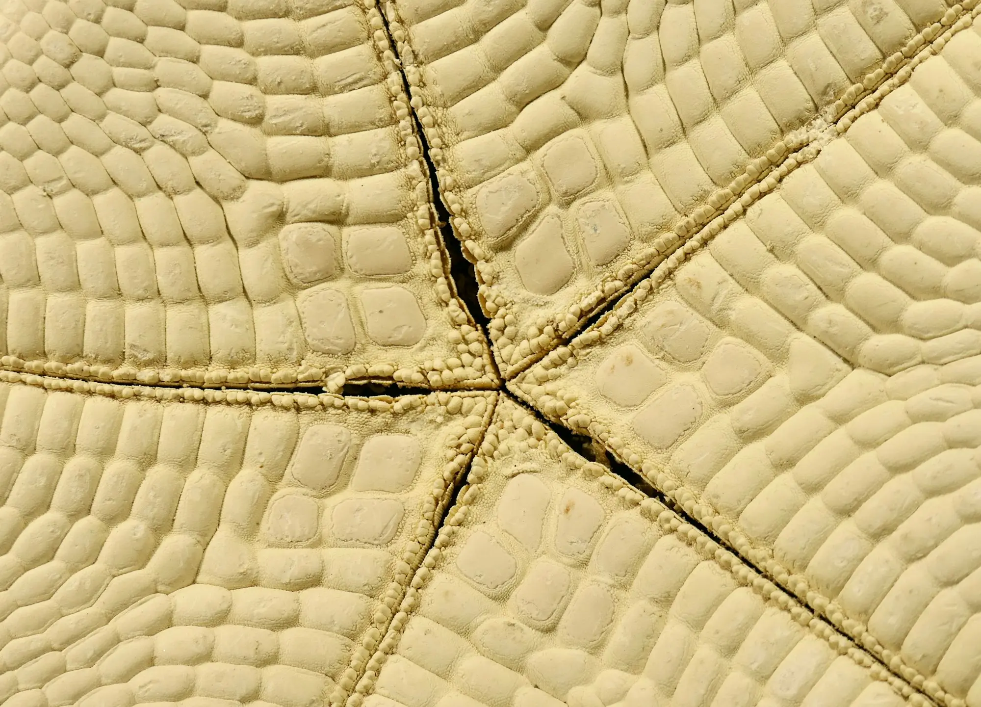 Look 02 — Construction detail